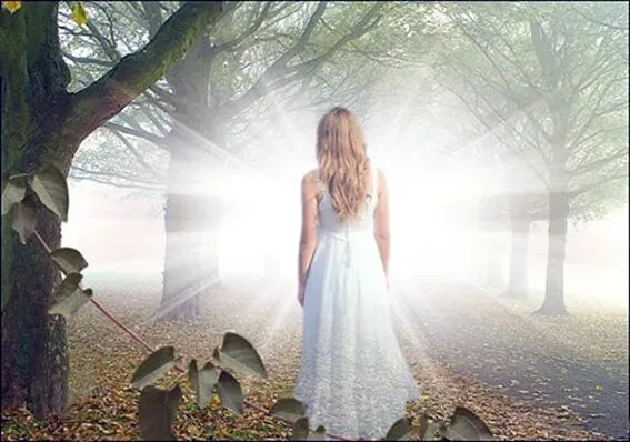 A woman walking toward a radiant light through a misty, tree-lined path, symbolizing connection with loved ones who have passed